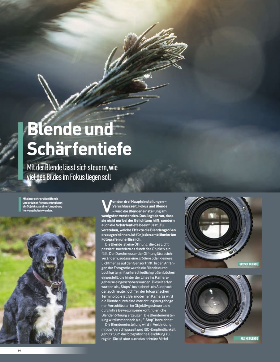 Canon Tipps, Tricks und Guides – Bild 3